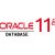 Oracle Database 11g: Data Warehousing Fundamentals